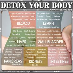 Check out our full report on natural, science-supported ways you can clean up your body and feel better, stronger, and healthier through the consumption of detoxifying foods! :) Shrink Tumors Naturally, Natural Antibiotics Bacteria, Caster Oil, Healthy Healing, Healthy Pantry, Resep Smoothie, Period Hacks, Alkaline Diet, Healthy Detox