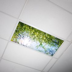 the ceiling in an office building is decorated with green trees and blue sky reflected in it