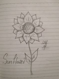 a drawing of a sunflower on lined paper with the words sunflower written in cursive writing