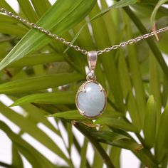 🌊✨ Discover the Magic of Aquamarine with Our Elegant Sterling Silver Necklace! ✨🌊 Are you looking for a unique and beautiful piece of jewelry that not only looks stunning but also carries a special meaning? Look no further! Our Aquamarine Pendant Necklace is here to bring a touch of elegance and a splash of courage into your life. 💙💫 This exquisite necklace features a natural aquamarine stone, renowned as the Stone of Courage. 🐟✨ Aquamarine is said to calm the mind, soothe the soul, and bri Aquamarine Jewelry Gift, Aquamarine Stone Jewelry Gift, Aquamarine Cabochon Jewelry Gift, Aquamarine Pendant, Aquamarine Stone, Natural Aquamarine, Chic Accessories, Necklace Sterling Silver, Perfect Gift For Her