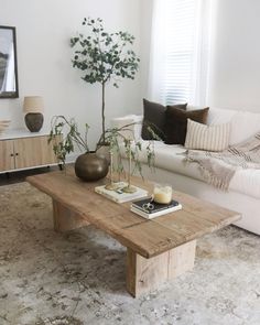 a living room with a couch, coffee table and plant in the corner on rug