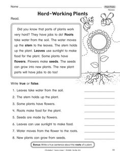 worksheet for plants and flowers with the words hard - working plants on it