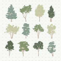 different types of trees are shown in this graphic file, which is also available for use as wallpaper