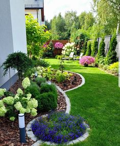 a garden with green grass and purple flowers