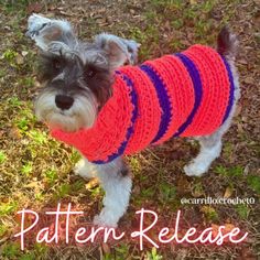 a small dog wearing a red and blue sweater with the words pattern release on it