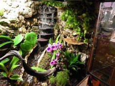 an aquarium filled with plants and water