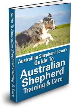 the australian shepherd lover's guide to australian shepherd training and care, with an image of a dog running