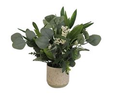 a potted plant with white flowers and green leaves in it on a white background