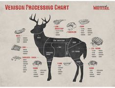 a diagram of the parts of a deer's body, including meat and vegetables