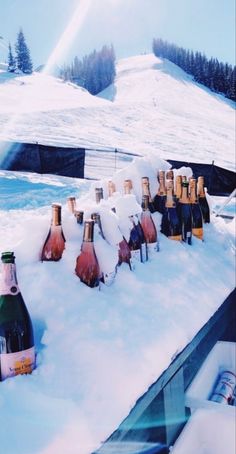 bottles of wine are lined up in the snow