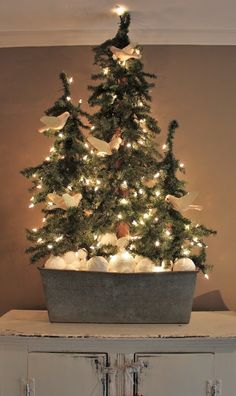 a small christmas tree in a pot on top of an old cabinet with white lights