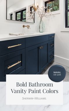 the bathroom vanity paint colors are shown in navy blue and white, with gold accents