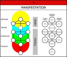 the four main types of manfestation and how they are used to describe them