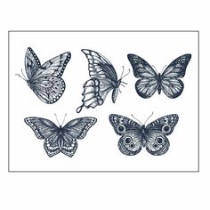 four butterflies in different positions and colors on a white backgrounnds are drawn by hand