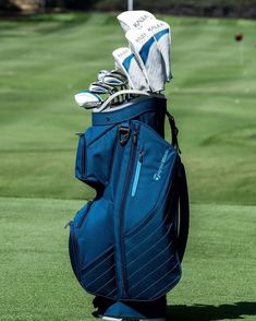 a golf bag with clubs in it sitting on the green