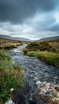 a stream running through a lush green field under a cloudy sky with mountains in the distance