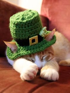 a cat wearing a green crochet hat on top of it's head