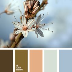 the color scheme is brown, beige and white with an assortment of flowers on it