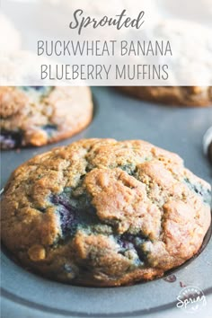 blueberry muffins in a muffin tin with the words sprouted buckwheat banana blueberry muffins