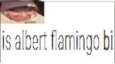 an image of a person with a hat on and the words it's albert flamingo bib