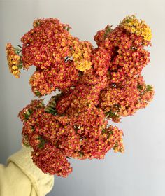 a bunch of flowers that are in a vase