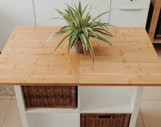 a potted plant sitting on top of a wooden table next to wicker baskets