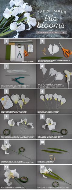 the instructions for making paper flowers