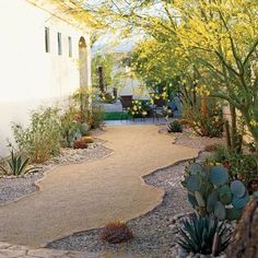 a pathway leading to a house with cactus and trees in the front yard, along with yellow flowers