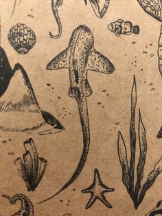 an image of sea life on brown paper