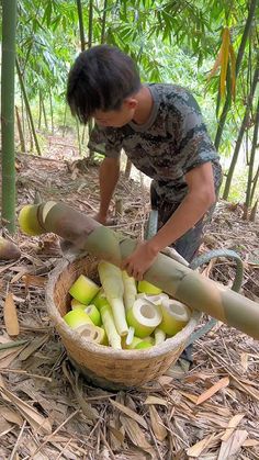 a man in camouflage holding a bamboo stick and cutting apples into smaller pieces on the ground