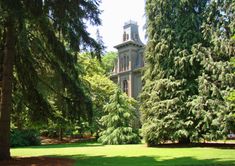 the building is surrounded by tall trees and grass in front of it, with a clock tower at the top