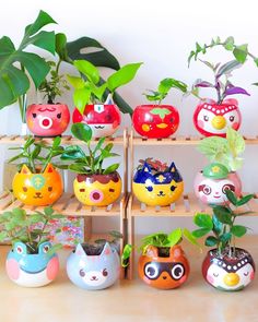 there are many small pots with plants in them on the shelf and one is painted to look like owls