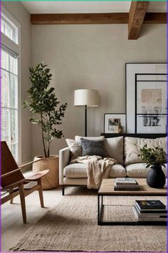 a living room filled with furniture and a potted plant on top of a coffee table