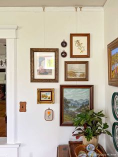 there are many framed pictures on the wall in this living room, and one has a potted plant next to it