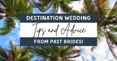 palm trees with the words destination wedding tips and advice from past brides