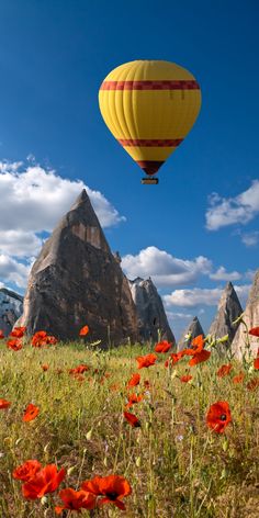 a hot air balloon flying over a field with red flowers