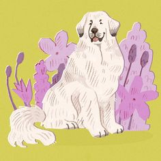 a drawing of a white dog sitting in front of purple flowers and pink leaves on a yellow background