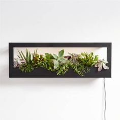 a wall mounted planter with succulents and other greenery in it