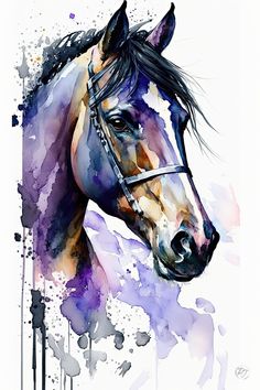 a watercolor painting of a horse's head and bridle on a white background