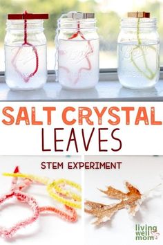 Get your kids excited about learning with this super cool fall STEM activity. With salt and a handful of supplies, your kids will have so much fun exploring the salt crystal leaves that form in this simply awesome science experiment. Fall Stem Activities, Stem Activity For Kids, Fall Science, Fun Stem Activities, Kid Science, Fall Stem, Science Crafts, Stem Activity, Science Activity