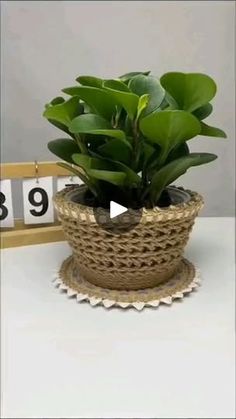 a potted plant sitting on top of a table next to a number nine sign