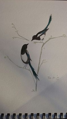 Two for joy magpies water colour. Painted for brother 's wedding invite. Bird Line Drawing, Magpie Art, Black Bird Tattoo, Bird Quotes, Cute Bird, Bird Silhouette, Bird Painting, Beautiful Dark Art