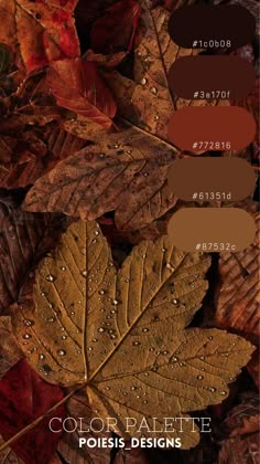 the colors of autumn leaves are shown in this graphic design guide, which shows how to use