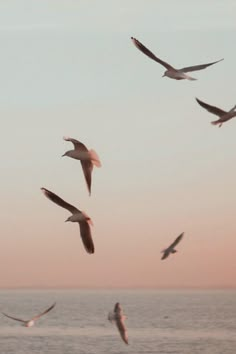 a flock of birds flying over the ocean