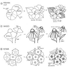 the different types of flowers and their names