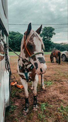 a brown and white horse standing next to a trailer