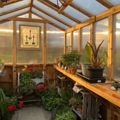 the inside of a greenhouse with lots of plants and flowers in pots on shelves next to each other