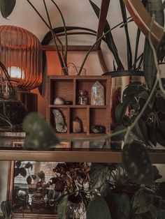 some plants are sitting on a shelf near a lamp and other things in the room