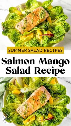 salmon and lettuce salad on a white plate with text overlay that reads summer salad recipes salmon mango salad recipe