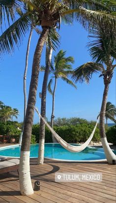 a hammock between two palm trees next to a swimming pool